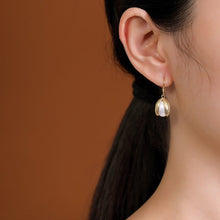 Load image into Gallery viewer, Designer Original Craftsmanship Inlaid Pearl Earrings Exquisite Ladies Silver Jewelry
