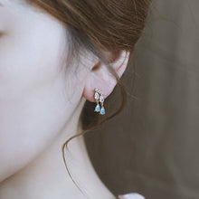 Load image into Gallery viewer, The Designer&#39;s Unique Creative Silver Inlaid White Crystal Faceted Drop-shaped Tassel Earrings Elegant and Exquisite Jewelry
